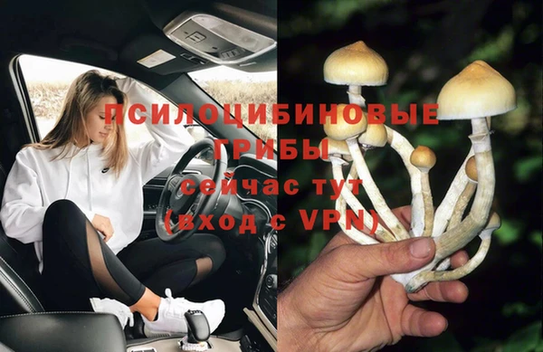 твердый Покровск