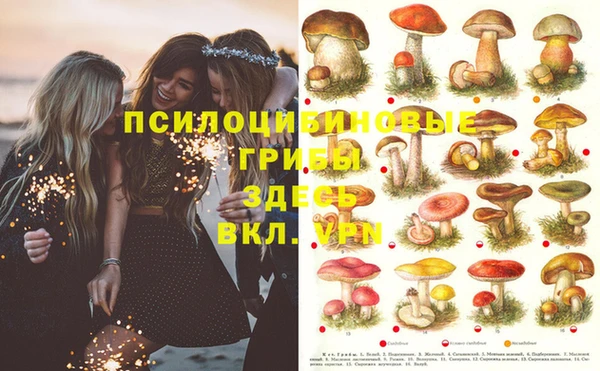 амф Покров