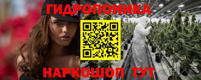 сатива Аргун