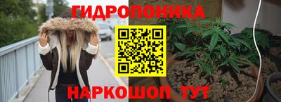 ПСИЛОЦИБИНОВЫЕ ГРИБЫ Аргун