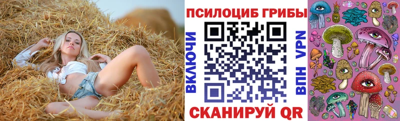 hydra вход закладки Балахна Псилоцибиновые грибы Psilocybine cubensis