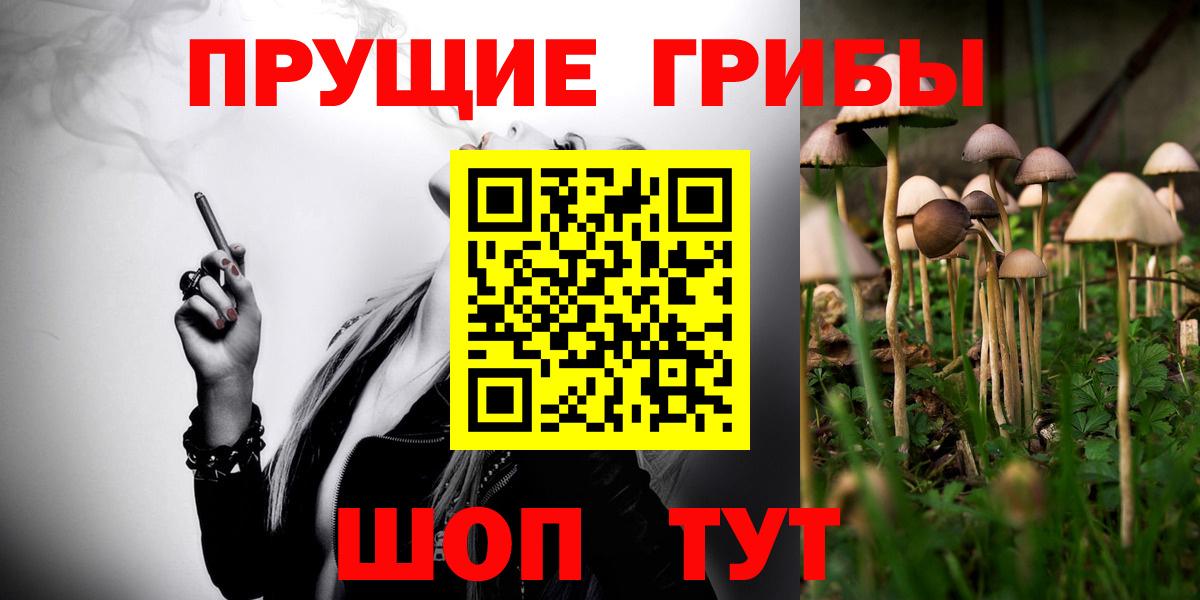 Галлюциногенные грибы Magic Shrooms  Вход с VPN  купить   Псилоцибиновые грибы MAGIC MUSHROOMS  Балахна 