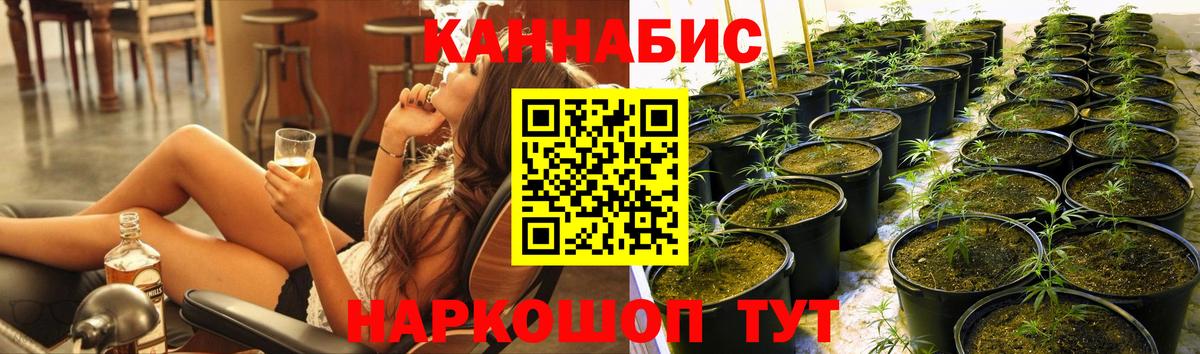 Шишки марихуана планчик Балахна